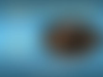 Summer 2020: free initiation lesson every Tuesday