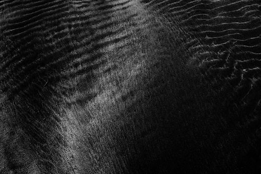 pexels-adrien-olichon-1257089-3709433.jpg