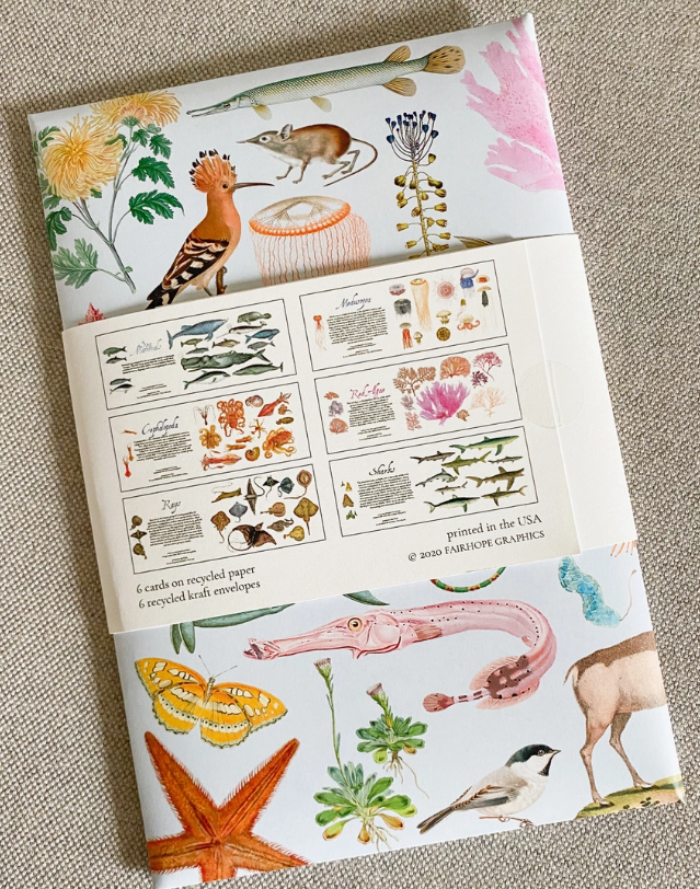 Thumbnail: Stationery - Notecard Pack - Ocean