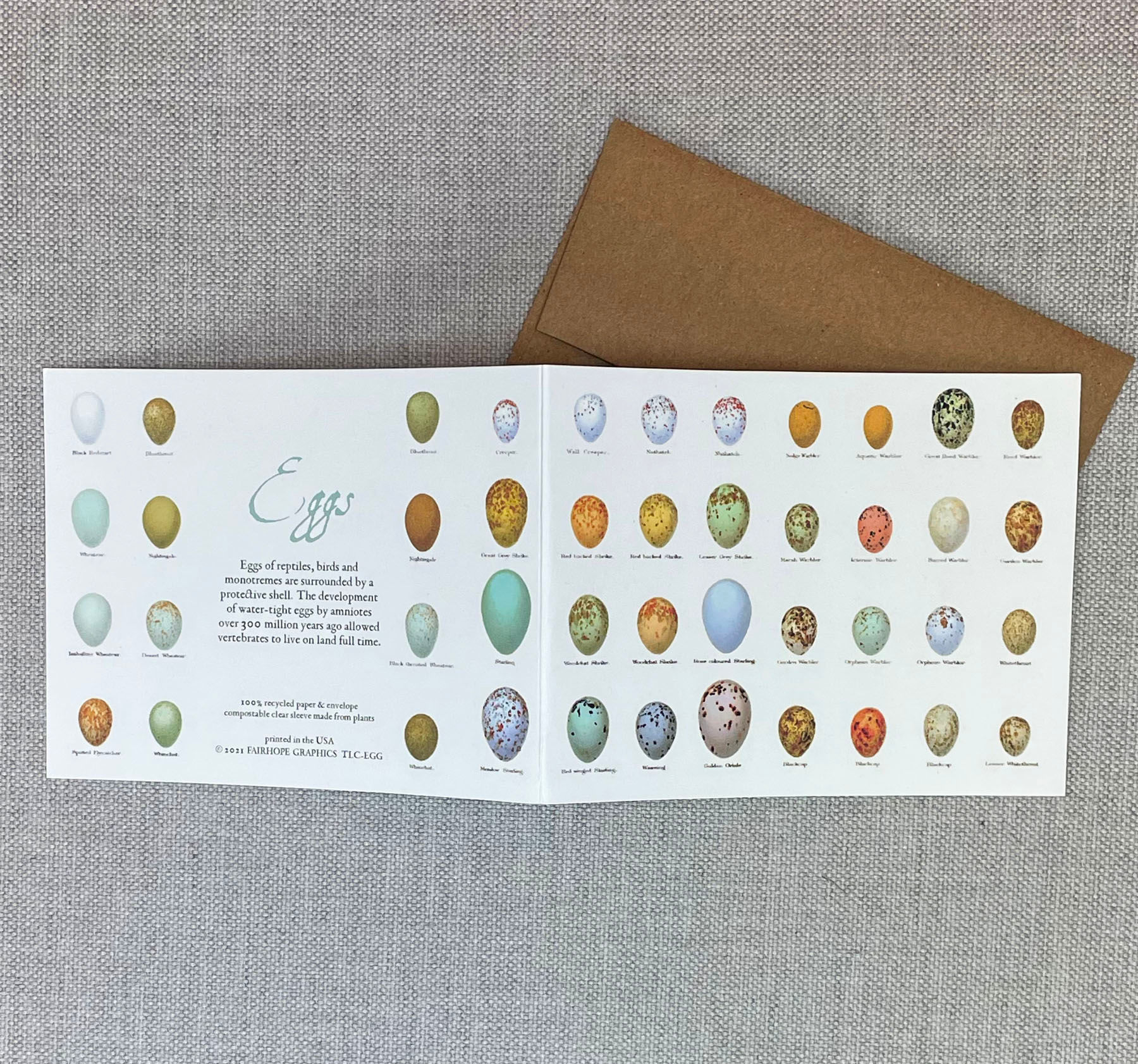 Notecard - Eggs