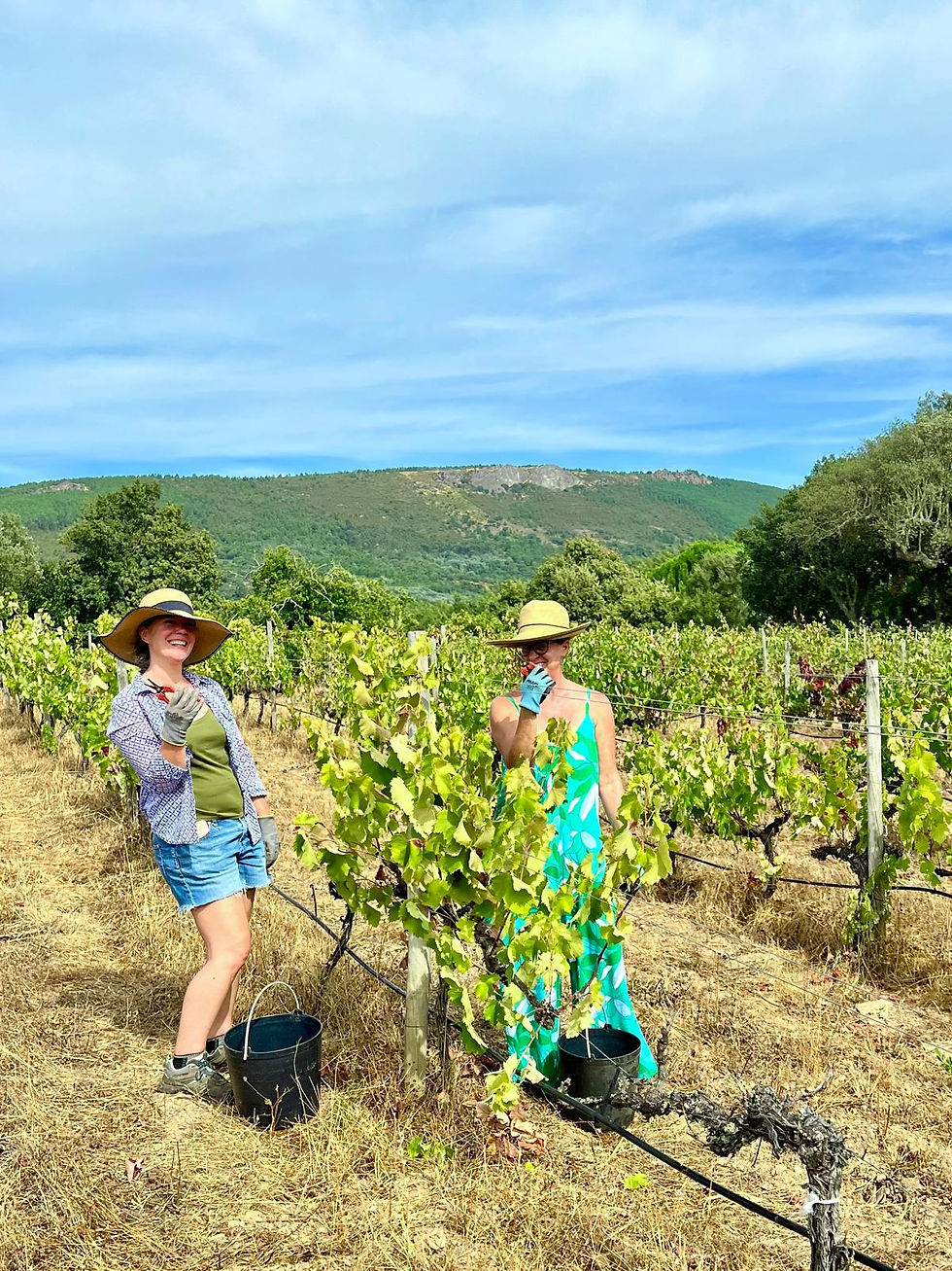 Women & Wine Gathering