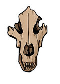 BEAR SKULL.jpg