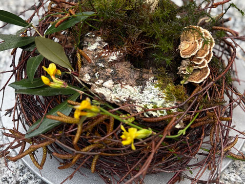 Frühling liegt in der Luft 🌿