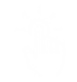 Touch Icon