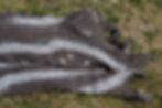 Thumbnail: Envelope Shroud