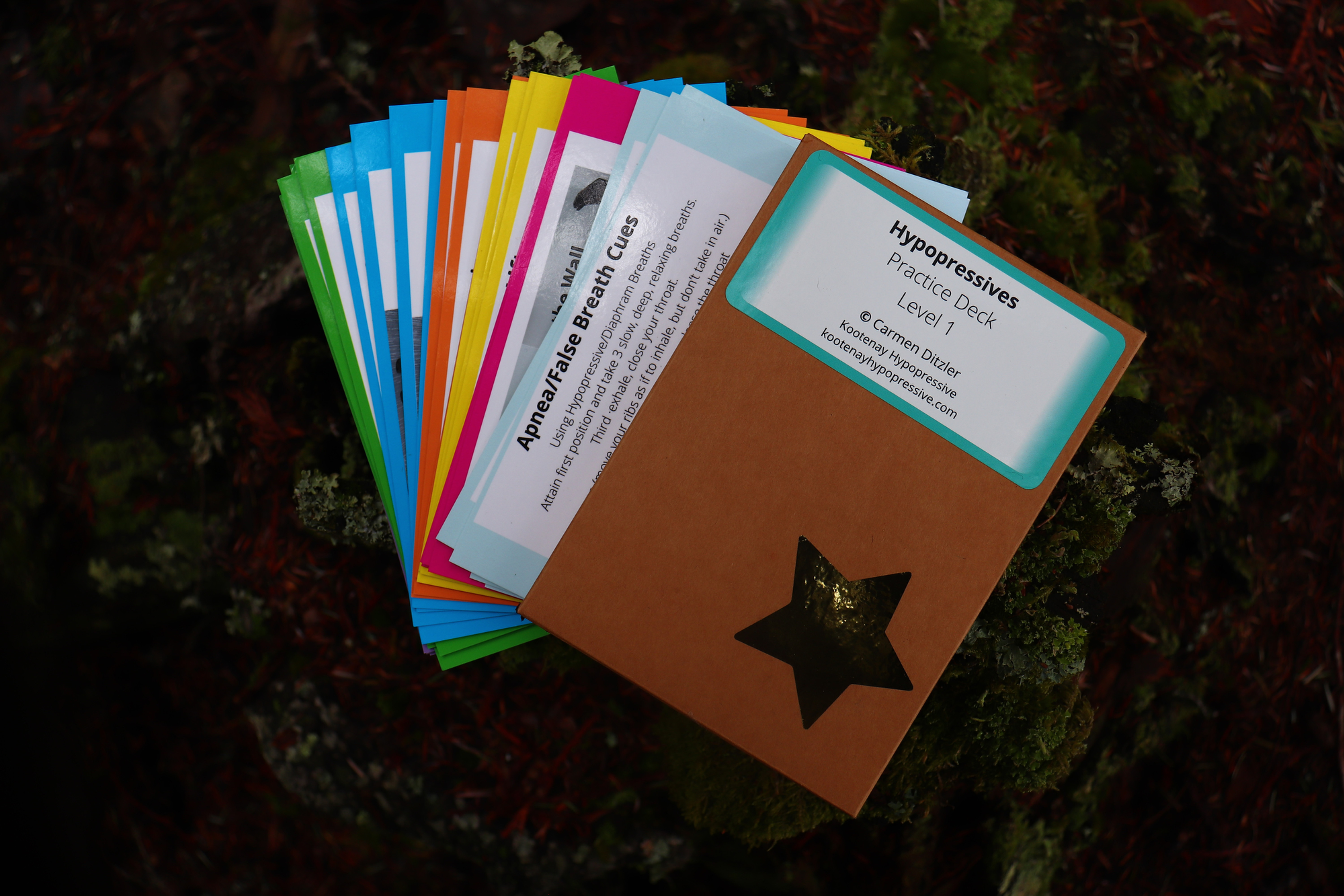 Practice Card Set- Hypopressives Level 1