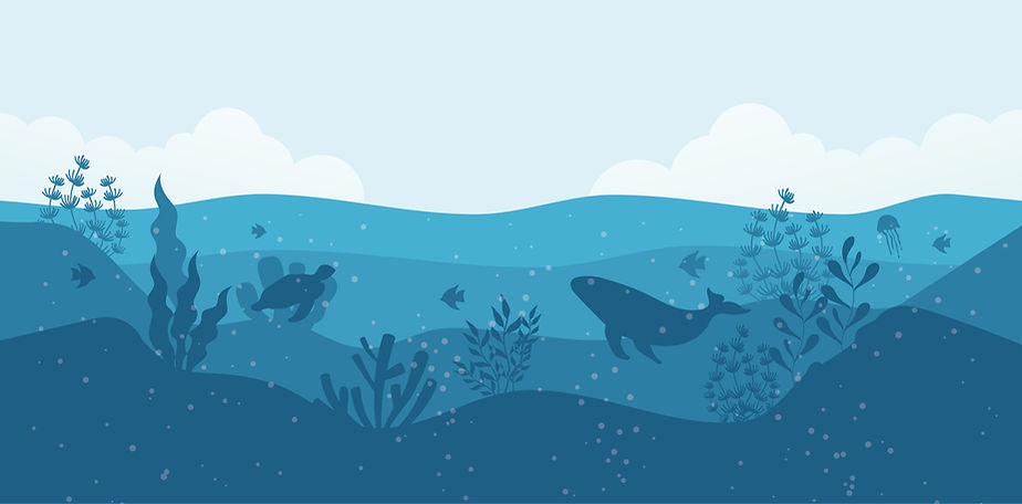 Ocean Background Education_edited.jpg
