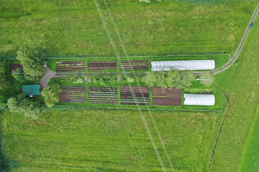 DJI_0865.JPG