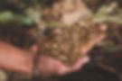 AdobeStock_569520165.jpeg