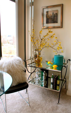Arlington, VA Condo