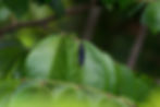 AdobeStock_478166091.jpeg