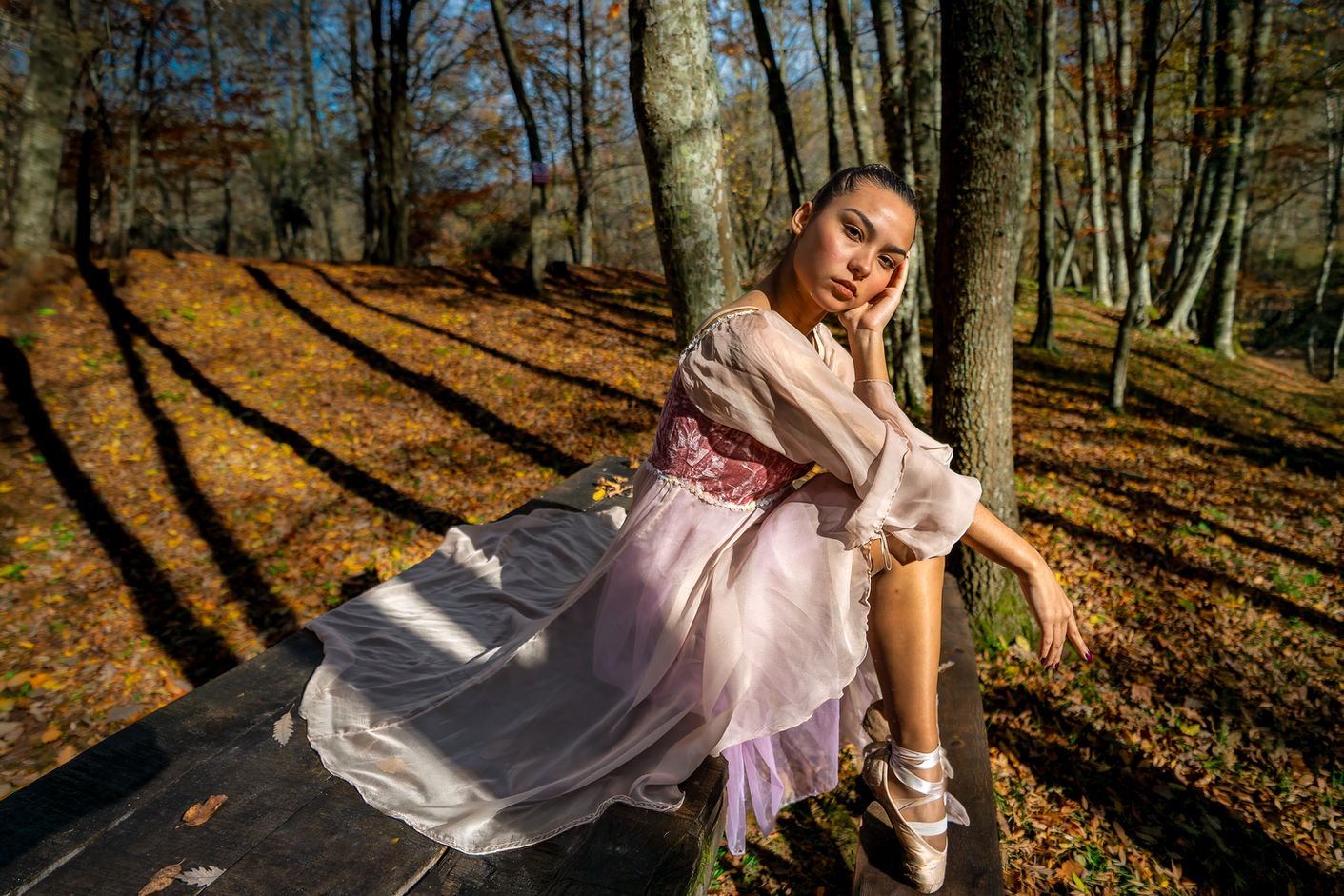 emrahulke_ballerina