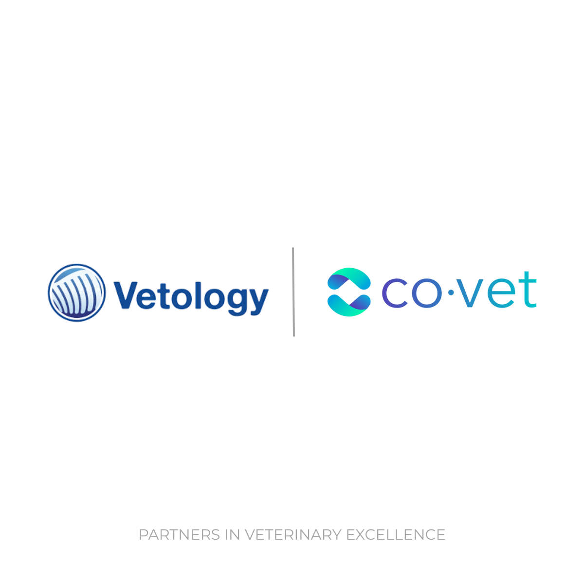 CoVet's Connection with Vetology to Streamline Veterinary Radiology Workflows