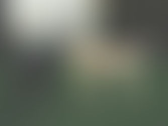 Harbor and CoVet Announce Strategic Partnership to Integrate AI Tools into Veterinary Education and Practice