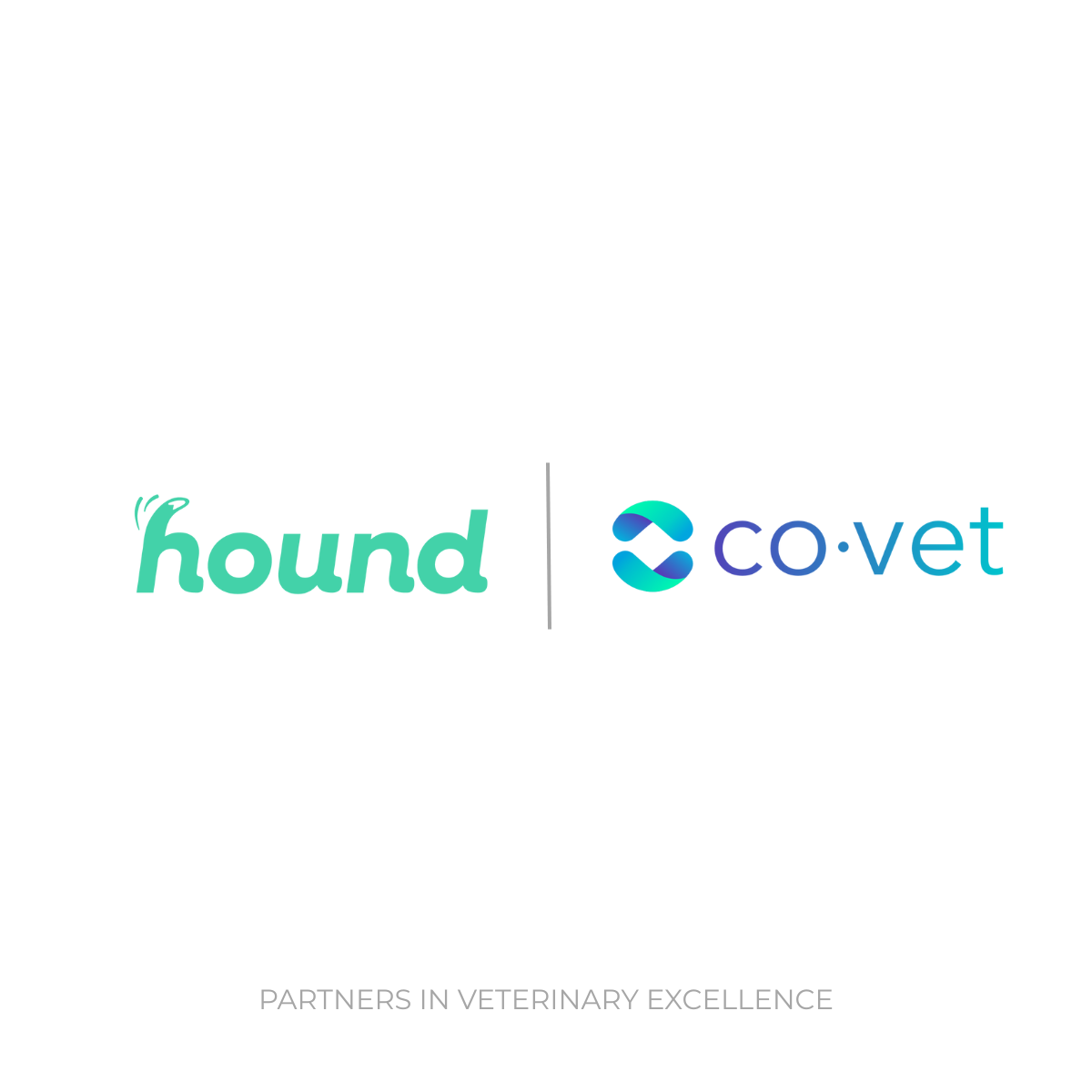 Hound and CoVet Partner to Enhance Clinical Workflow and Workforce Wellbeing in Veterinary Medicine