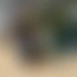 Why CoVet Is Not Building a Practice Management System, and Why That Is Good for Veterinary Medicine