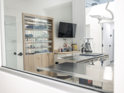 CoVet and EverVet Partners Join Forces to Bring AI-Powered Efficiency to Veterinary Practices