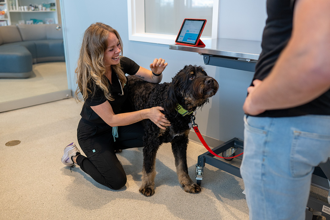 CoVet Secures Growth Funding with Off Leash Capital to Build the Future of Veterinary AI