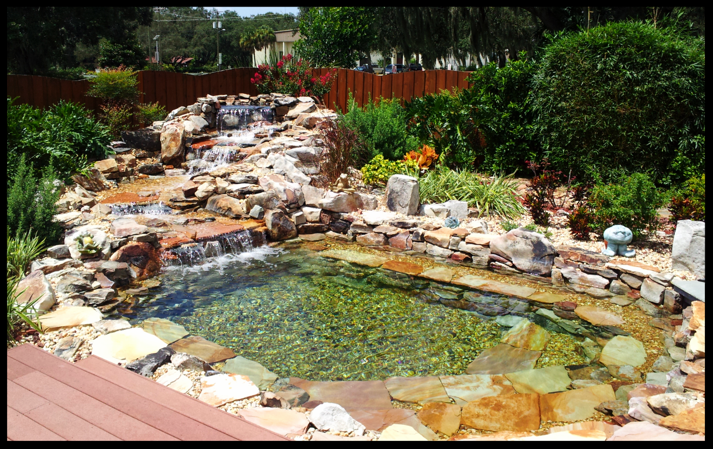 Swim Pond