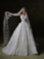 lace ball gown wedding dress