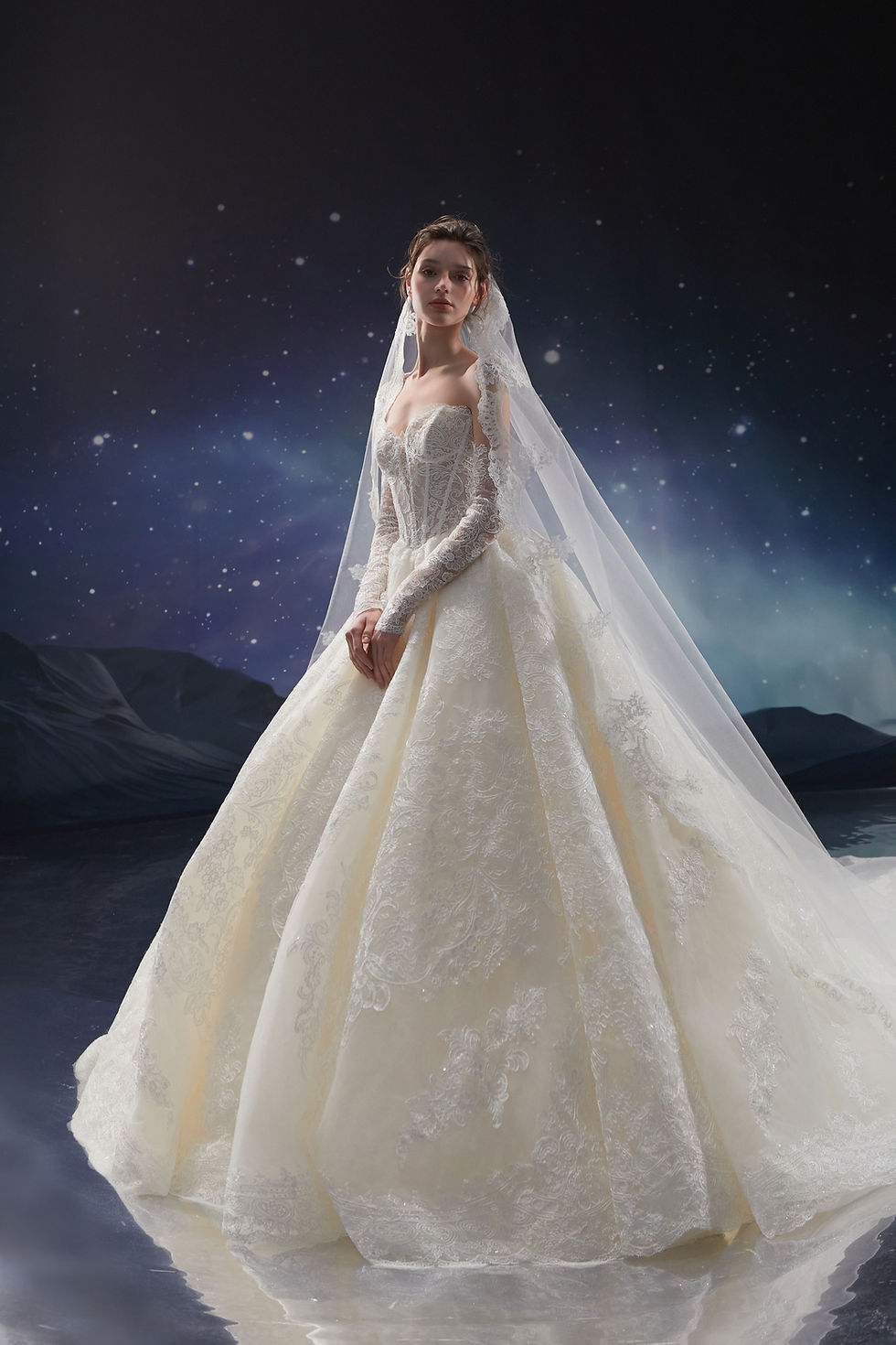 Off-shoulder lace bridal ball gown with long sleeves and cathedral-length embroidered veil.
