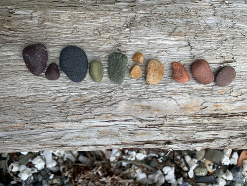 Beachcombing