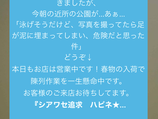 スマホでウェイブアイのブログが読めない!そんな時にやってみてもらいたい技(iPhoneの)