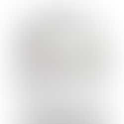 Joint Declaration- of YST Council Members Eugene Birchim, Kenneth Smith, and Randy Brady