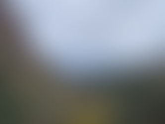 Tribal Health Services At Yomba Shoshone Indian Reservation