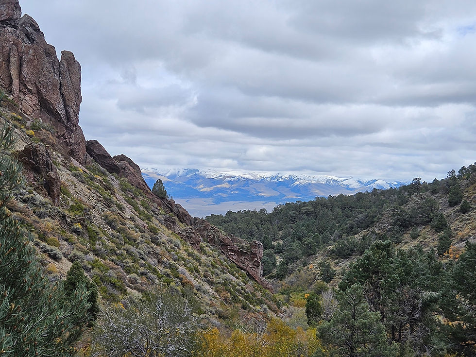 Tribal Health Services At Yomba Shoshone Indian Reservation