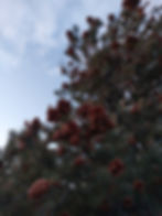 20251010_183350