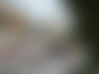 bir gün vardık ve ertesi gün yoktuk