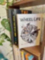 Thumbnail: Wheel of Life
