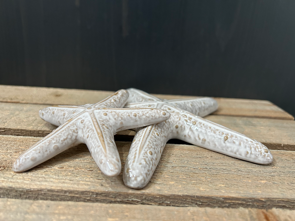 Thumbnail: Glazed porcelain larger starfish ornament. 16cm