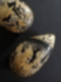 DENDRIET JASPIS