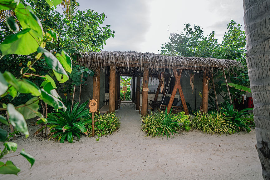 DSC00726 copy (1).JPG