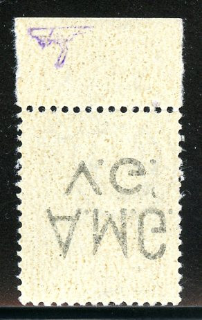 AMG Venezia Giulia (VG) Bush 21 10 L MNH Error w/Inverted