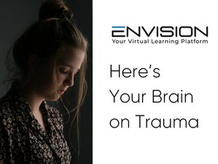 Here’s Your Brain on Trauma