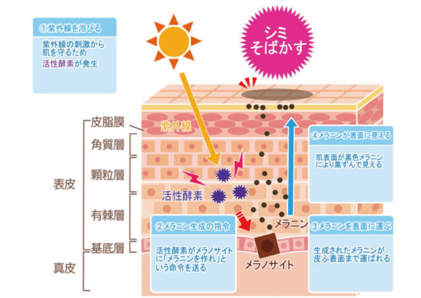 00名称未設定-1.gif