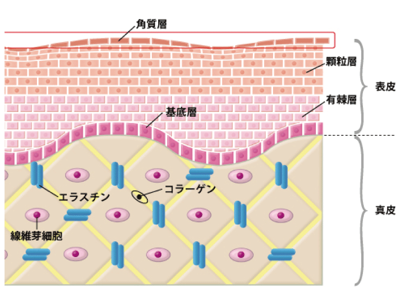 0名称未設定-1.gif