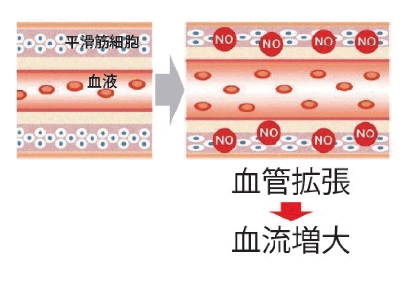 0000名称未設定-1.gif
