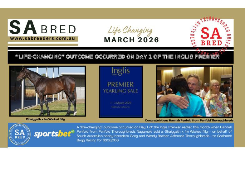 SA Breeders NEWS 2nd Edition March 2026 SA BRED