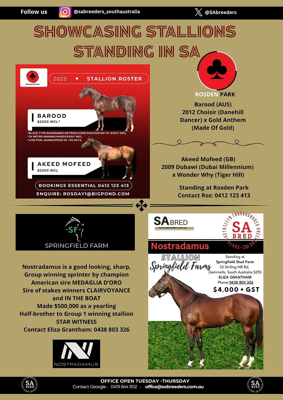 Showcasing Stallions standing in South Australia - Download Latest SA Breeders newsletter July 2025