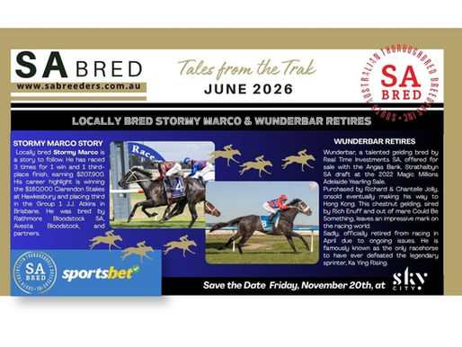 SA Breeders NEWS JUNE 2026 Monthly Newsletter PDF