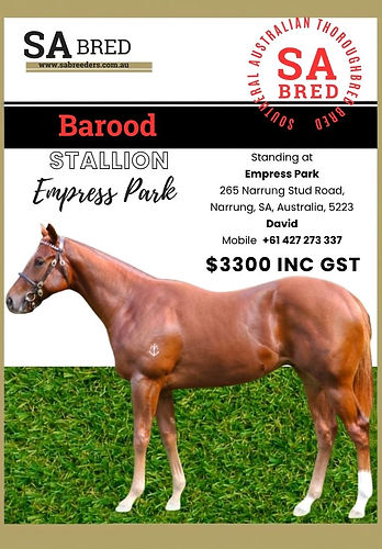 Empress Park Barood Stallion 2026