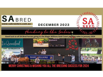 SATB NEWSLETTER DECEMBER 2023