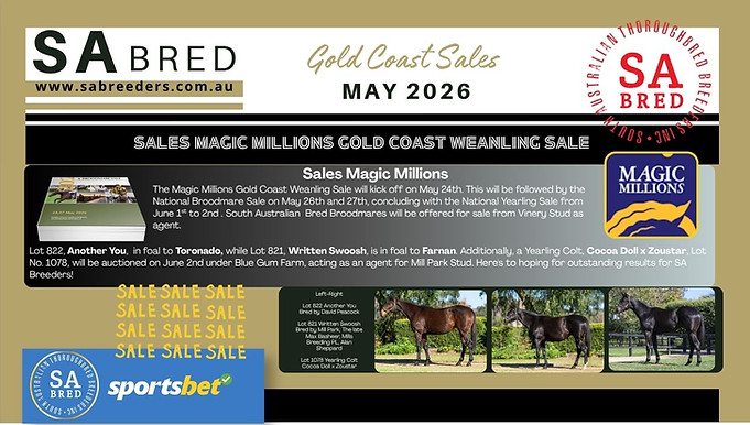 SA Breeders Newsletter Thumbnail MAY 2026 (Twitter Post).jpg