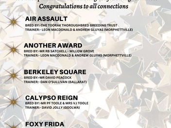 NEWS SA BREEDERS - HORSE OF THE YEAR FINALISTS 22/23