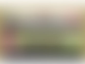 SA Breeders NEWSLETTER AUGUST 2024 Finalists Horse of the Year 23-24