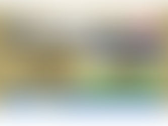 SA Breeders News December 2025 download PDF